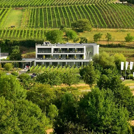 فندق Heitlinger Hof Tiefenbach (Heilbronn)